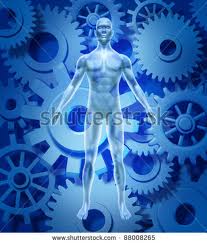 অ্যান্ড্রয়েড অ্যাপস এন্ড গেমস, শরীর সুস্থ রাখার জন্য খুবই দরকারী কতকগুলি অ্যাপস