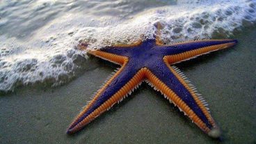 Admission Test এর Mathematics Solution চাইলে এই টিউনটি মনে হয় আপনার জন্য।