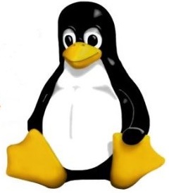 Tutorial 8 : Bandwidth Control using Squid Proxy