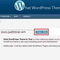 যেকোন ওয়ার্ডপ্রেস সাইটের থীম এবং প্লাগিন সম্পর্কে জেনে নিন, সাথে প্লাগিনের ডাউনলোড লিংকও বুঝে নিন