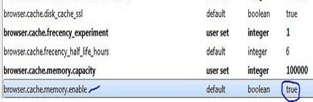 browser.cache