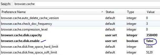 browser.cache