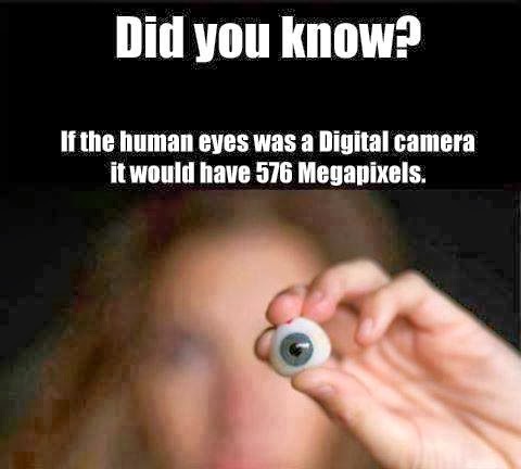 আশ্চর্যজনক সব সত্য তথ্যের সমাহার। দেখুনতো আপনি জানেন নাকি? Believe it or not [[টেকনোলজি বহির্ভূত পোস্ট]]