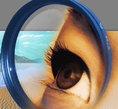 Ξভিডিও টিউনΞ ফটোশপের স্বরে-অ থেকে চন্দ্রবিন্দু [পর্ব-০৭] :: ফটোশপের গ ঘ – মুভ টুল ও ক্রপ টুল