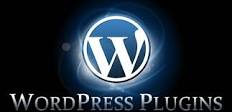 ২০১৩ সালের সেরা ১০ টি WordPress plugin. এখনই সংগ্রহে রাখুন. না হলে কিন্তু পরে আফসোস এর সীমা থাকবেনা