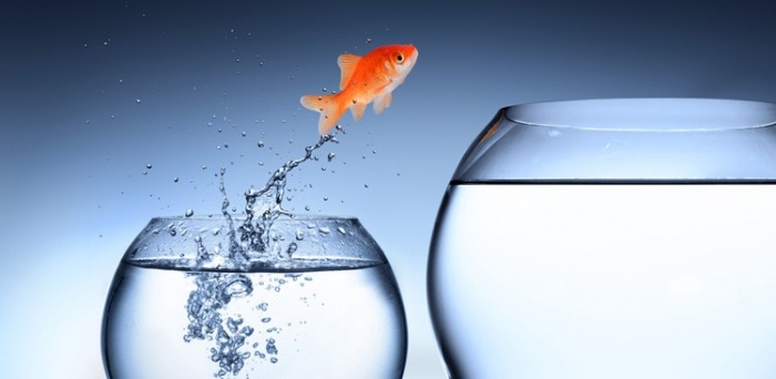 জেনে নিন চাকরিতে দ্রুত প্রোমোশনের কিছু উপায়।