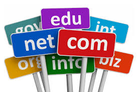 এবার আপনার সাইট এর জন্য নিয়ে নিন com,net,org,info,us domain একদম ফ্রি