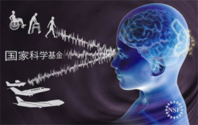 মানুষের মস্তিষ্কেই কম্পিউটারের মতো প্রোগ্রাম ডাউনলোড করা যাবে