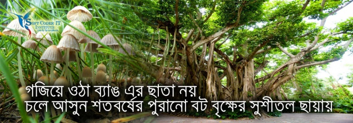 SoftCoder IT Institute Add