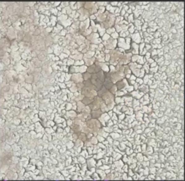 আমি একটি স্কুলের ওয়েব সাইটের জন্য ডোমেইন ও হোস্টিং কিনতে চাই