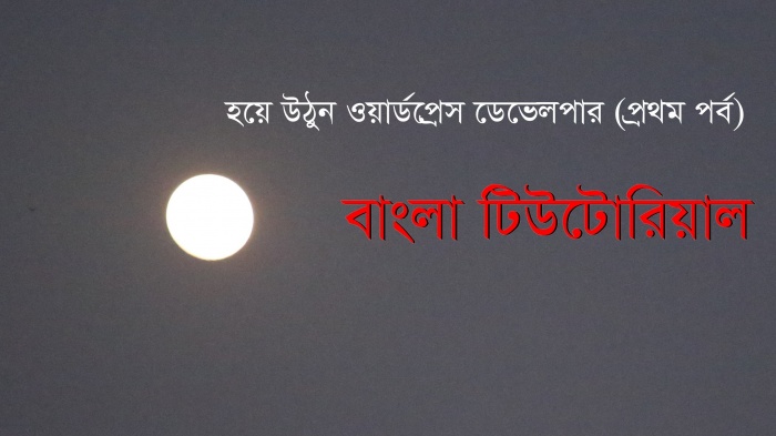 হয়ে উঠুন ওয়ার্ডপ্রেস ডেভেলপার (প্রথম পর্ব)