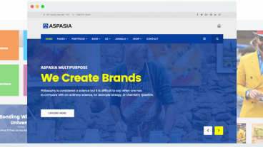 আপনি কি ওয়ার্ডপ্রেস এর কিছু PRO থিম খুঁজছেন ?