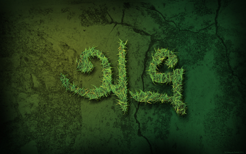 Avro ইন্সটলের পর Firefox এ বাংলা সমস্যা? নিজেই সমাধান করুন!!!