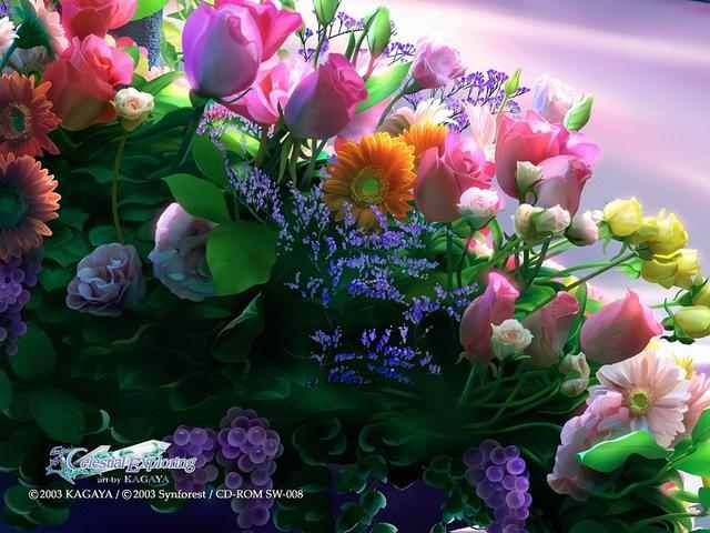 নাচিয়ে তুলুন আপনার ব্রাউজারকে, অন্তত একবার দেখুনঃ ডিজিটাল জোন