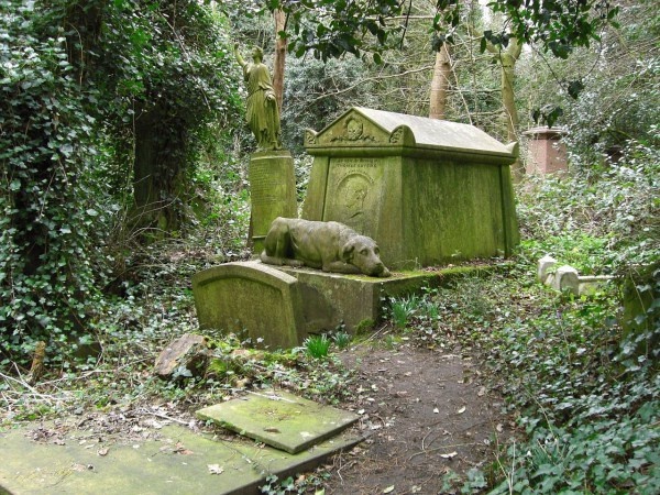 পৃথিবীর সবচেয়ে রোমহর্ষক ভৌতিক স্থানগুলোর রহস্য! (ছবি সহ)