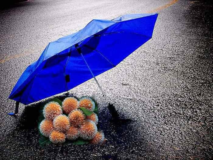 উবুন্টুর দিকে কিভাবে মানুষকে ডাকবেন? কেন ডাকবেন?