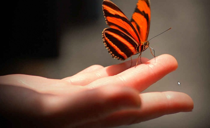 Microworker সাইটে গ্রুপ করবো কিভাবে ?