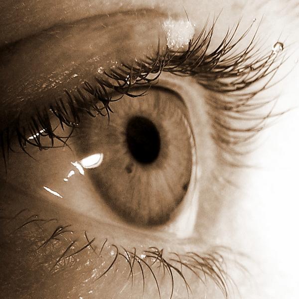 ২০১০ এর সেরা যত সিস্টেম ইউটিলিটি ফ্রিওয়্যার – রিভিউ এবং ডাউনলোড লিঙ্ক