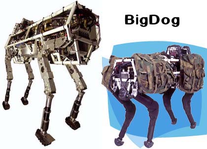 BigDog