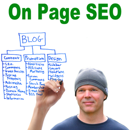 seo training