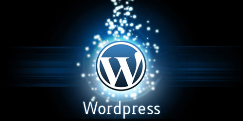 wordpress training