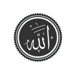 মুসলিম ভাই – বোনদের জন্যে আমার তৈরী একটি ইসলামিক উইন্ডোজ ফোন এপস