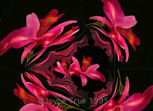 ডট com ডোমেইন মাত্র ৩.৯৯$ এ কিনুন