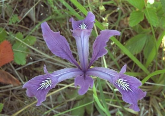 !!! BTS নাম্বার এর বাটপারি দেখুন !!!