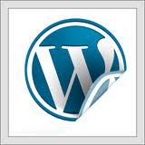 সম্পুর্ন একটা ব্লগ তৈরীর টিউটোরিয়াল [পর্ব ৬] আজ টপিক ওয়ার্ডপ্রেস ড্যাশবোর্ড পরিচিতি (পর্ব ২)