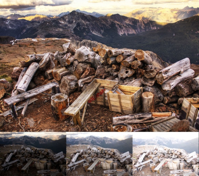 স্মার্টফোনে দুর্দান্ত ছবি তুলতে চাইলে যে বিষয় গুলো খেয়াল রাখা প্রয়োজন