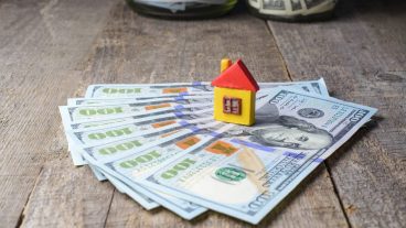 আপনি যদি শুধূ রেফারেল দ্বারা অনলাইনে আয় করতে চান তবে এই টিউনসটি আপনার জন্য।