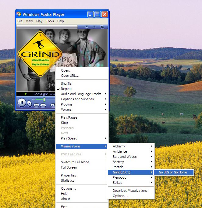 Windows মিডিয়া প্লেয়ারের Visualization এ দিন আপনার ছবি।(ঈদ উপহার)।