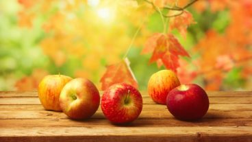 ওয়ার্ডপ্রেস থিম নিয়ে সমস্যা, পারলে কেউ সাহায্য করবেন