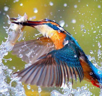 কিছু অসাধারণ ছবি । অবশ্যই  দেখুন ।