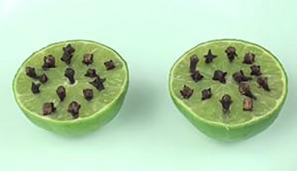 একটি মাত্র সাধারণ টিপসে মশার গুস্টি শুদ্ধ দূর করুন !