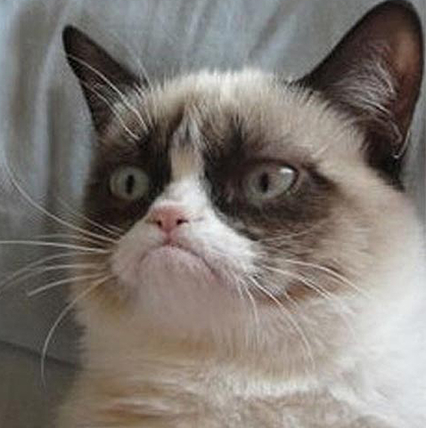 আসেন উইন্ডোজ ১০ বুকিং দেই ফ্রি তে কোন আপডেট দেওয়া লাগবে না , খারার উপ্রে বুকিং দিবেন , আসেন আমার লগে