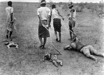 এটা কি বুদ্ধিজীবি হত্যার সামীল না? একটু ভেবে দেখবেন….