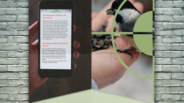 গ্রাফিক্স ট্যালেন্ট [পর্ব-১১] :: শিখে নিন Smart Flyer Design আর  নিয়ে নিন ডিজাইন এর স্বাদ