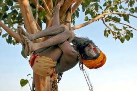 সাহায্য চাই, অভ্র ফন্টে লিখা ছোট হয়ে গেছে।