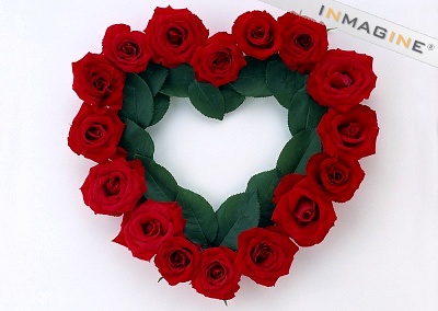 চোখ জুড়ানোর মত কিছু ছবির ফ্রেম।