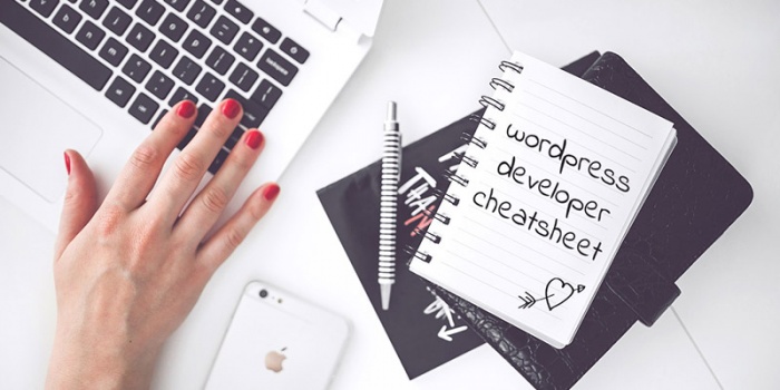 নিয়ে নিন সম্পূর্ণ ওয়ার্ডপ্রেস চিটশীট, সবগুলো একটা ছবিতে।