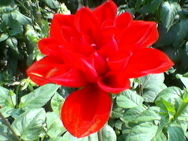 অবস্থা খারাপ!!! সাহায্য করেন!!!! প্লিজজজজজজজজজজজজজ্‌।