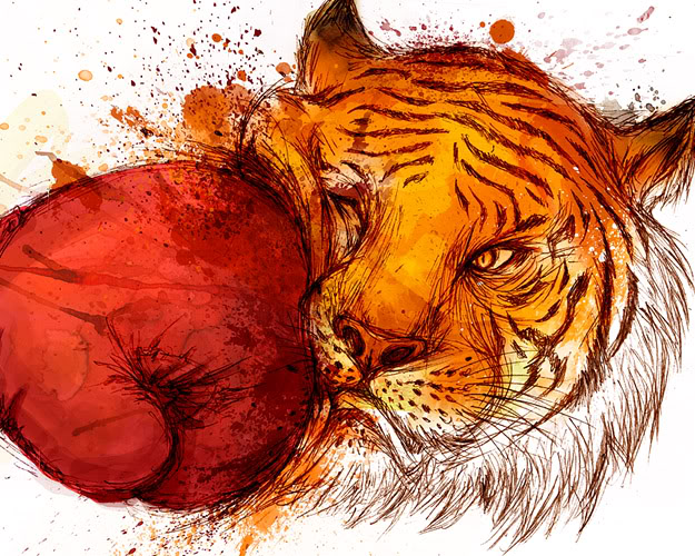 টাইগারমেট-এর আইপি শনাক্ত করেছে টেকটিউনস(ডয়চে ভেলে সংবাদ)