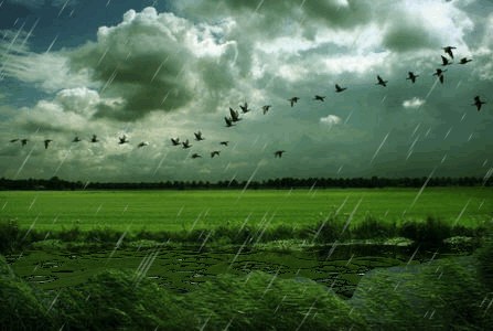 জিফ এনিমেশন ওয়ার্কশপ [পর্ব-০২] :: বৃষ্টি (Sqirlz.Water.Reflections)