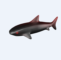 Lanshark-এর মাধ্যমে একাধিক পিসিতে ফাইল শেয়ার করা এবং সাথে থাকছে Portable Lanshark একদম ফ্রী।