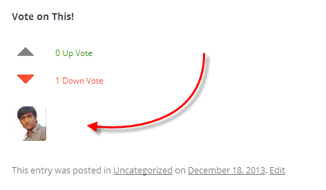 ভোট প্লাগিন vote plugin