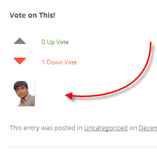 ছোট একটি ভোট প্লাগিন দেখে নিন কে আপনার পোষ্টে ভোট দিয়েছেন (ভোটার ছবি)