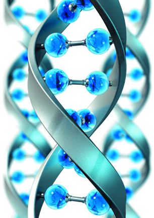 হাঁসজারুদের গল্প