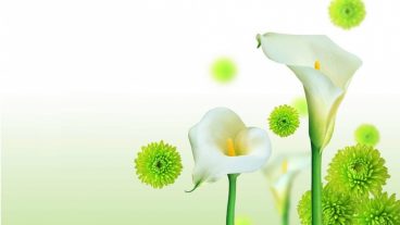 জেনেনিন যে ১০ জাগায় সালাম দেয়া নিষেধ!