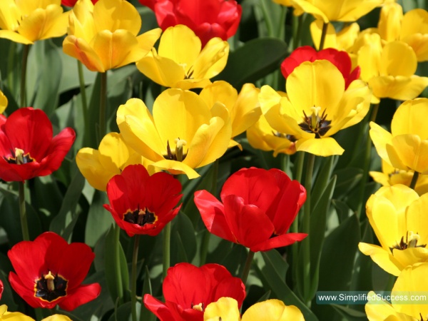 আর্জেন্ট সাহায্য চাই help me please